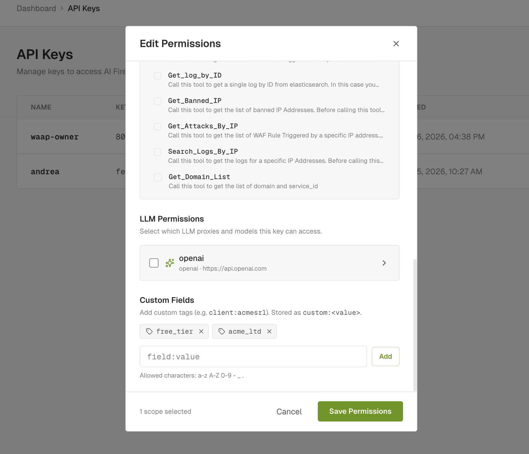 Custom Fields on an API key